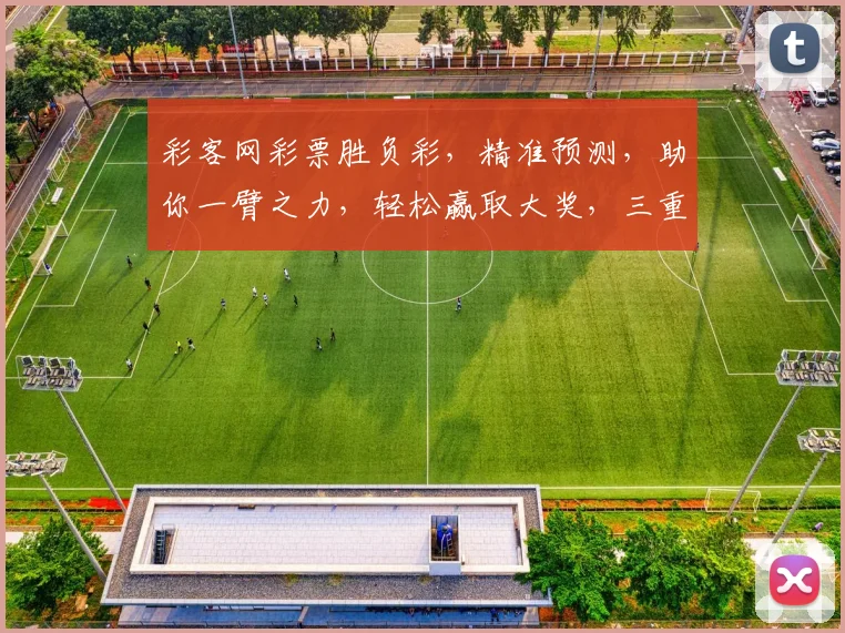 彩客网彩票胜负彩，精准预测，助你一臂之力，轻松赢取大奖，三重惊喜，不容错过