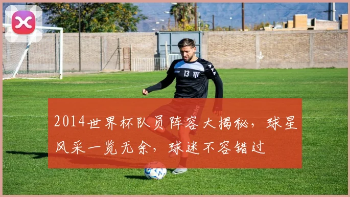 2014世界杯队员阵容大揭秘，球星风采一览无余，球迷不容错过