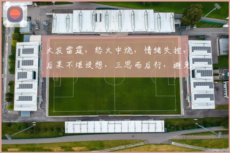 大发雷霆，怒火中烧，情绪失控，后果不堪设想，三思而后行，避免悲剧发生。