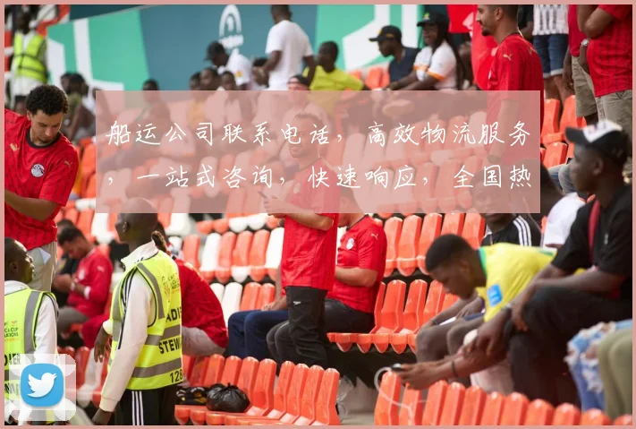 船运公司联系电话，高效物流服务，一站式咨询，快速响应，全国热线三网通
